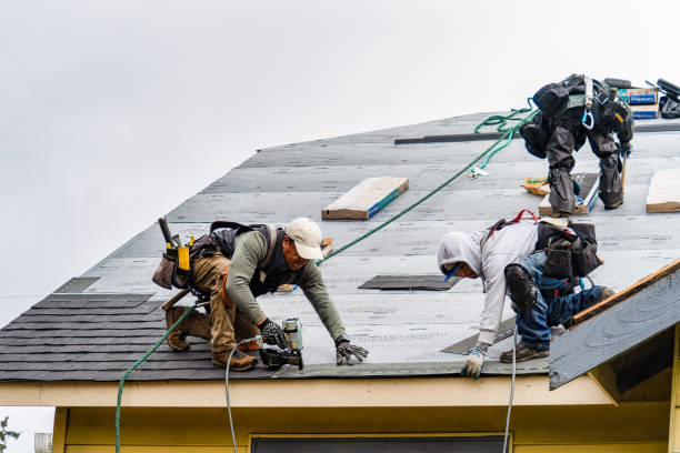 Professional Gutter Installation technician working in Geneva, MN